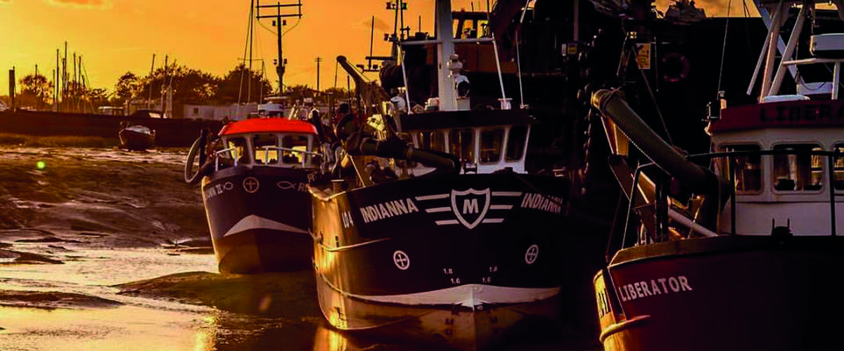 Old Leigh Boats - Photograph Copyright © Peter Dominey