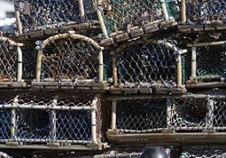 Well-used wood and netting lobster pots stacked on Whitby harbour. Coloured netting adds soft shades