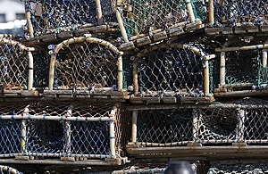 Well-used wood and netting lobster pots stacked on Whitby harbour. Coloured netting adds soft shades